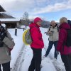 Tageswanderung 50, 31.01.2019